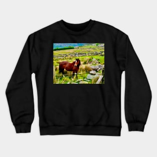 A horse stands in a field in the Welsh mountains Crewneck Sweatshirt